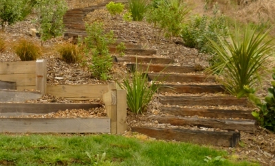 Project Three Image
