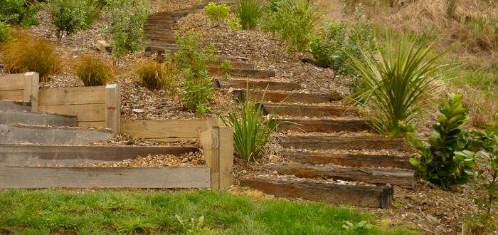 Project Three Image