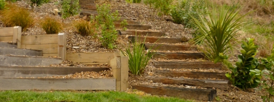 Project Three Image