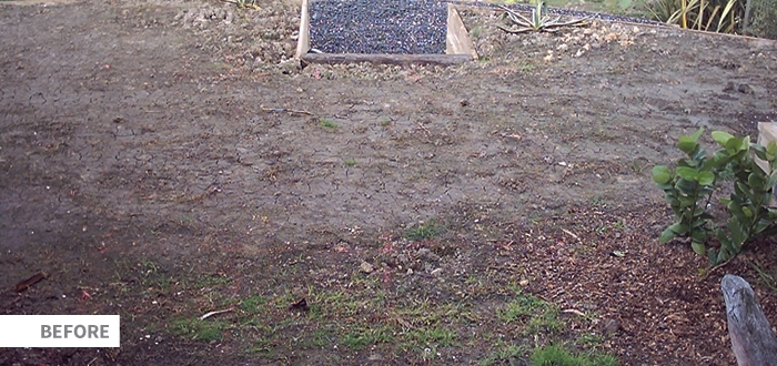 Seq Paving Image