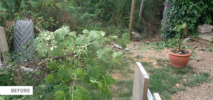 Seq Landscape