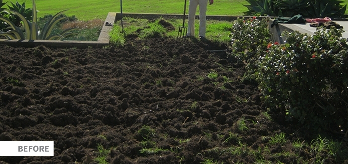 Seq Lawn Image