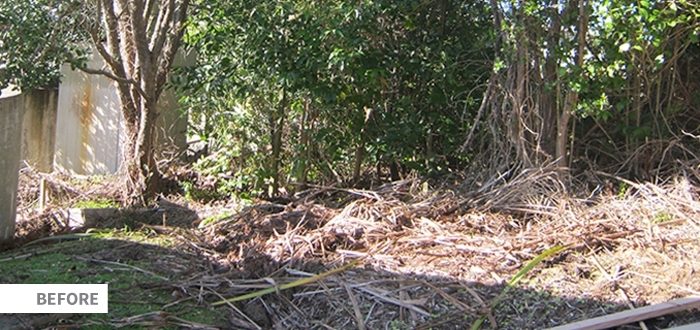 Seq Rock Garden Image