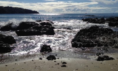 Waiheke Beach and Rocks Image