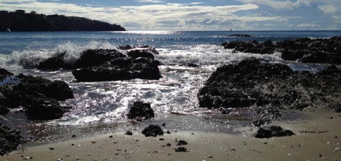 Waiheke Beach and Rocks Image