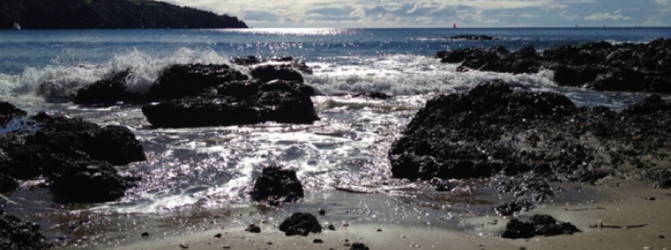 Waiheke Beach and Rocks Image