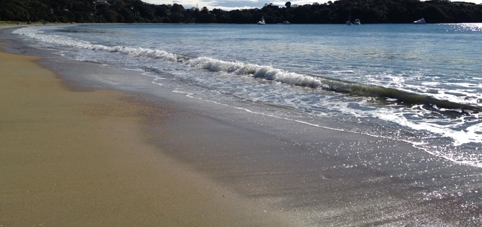 Gallery - Waiheke Sand and Sea Image