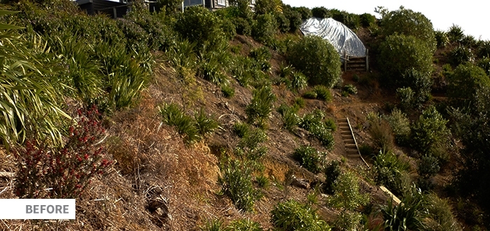 Seq Native Planting Image