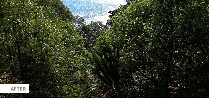 Seq Native Planting Slip Image