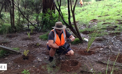 Seq Planting Image