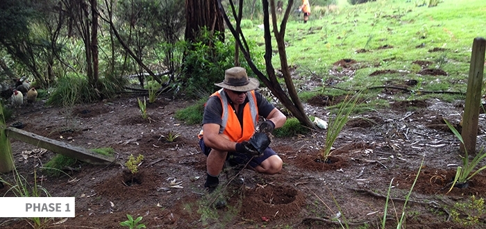 Seq Planting Image