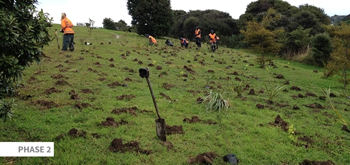 Seq Planting Image