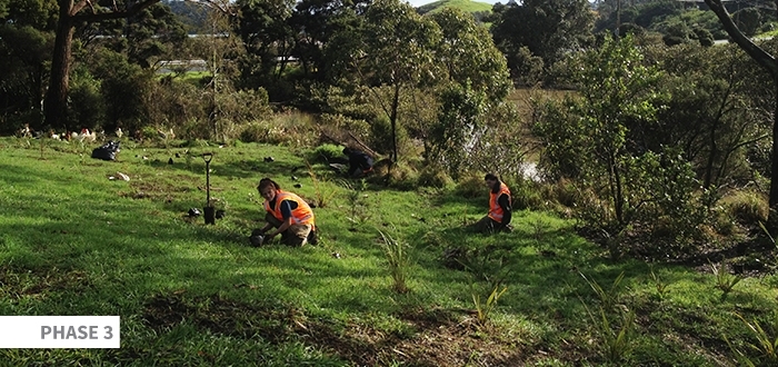 Seq Planting Image
